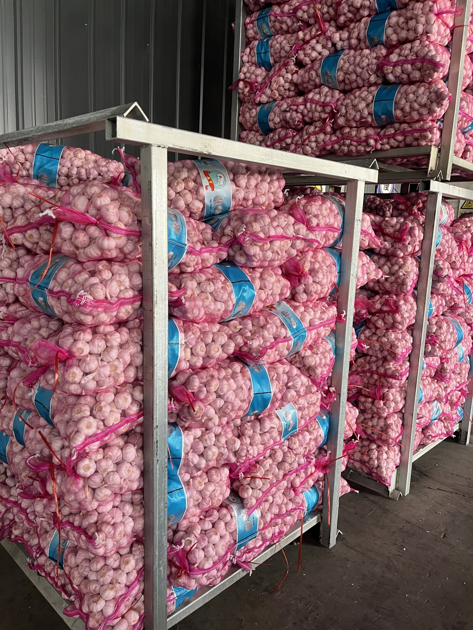 Normal White Garlic 5.5cm in 10kg Mesh Bag for Export from Shandong China