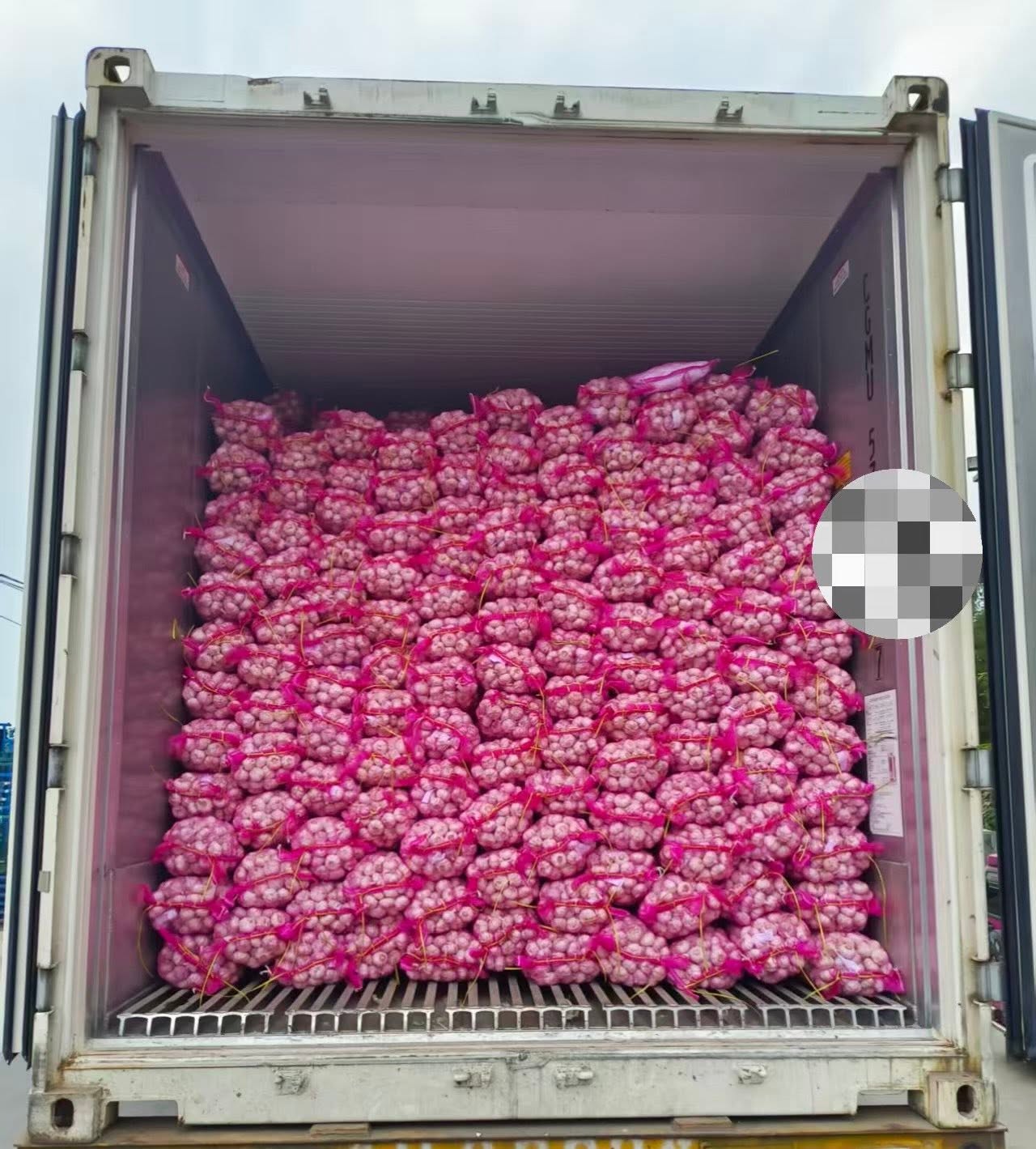 Normal White Garlic Container Loading at Qingdao Port for Export